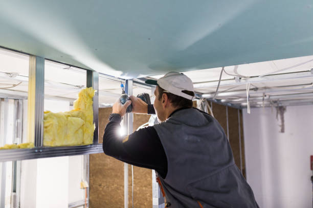 Types of Insulation We Offer in Seward, NE