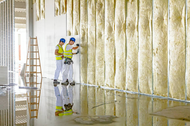Best Blown-in Insulation in Seward, NE